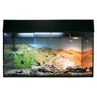 Starter Kit 80 cm "Leopardgecko" schwarz