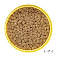 Pronovo Lotl Grano