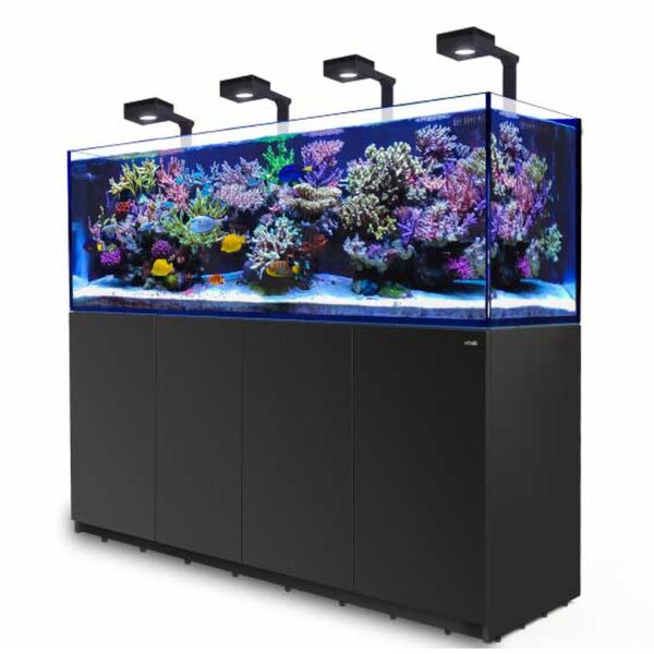 Red Sea REEFER 900 System G2+ Deluxe inkl. 4 Units RL 90 & Montagehalter, Schwarz und Weißungen