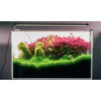 B Serie LED Beleuchtung, versch. Gr&ouml;&szlig;en