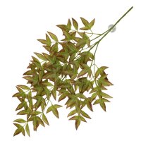 Terra Della H&auml;ngepflanze Nandina