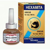 Hexamita