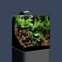 Dennerle Nano Cube COMPLETE, 20 L / 30 L - &quot;2022 Version&quot; inkl. Karton