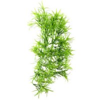 Climber Tropica