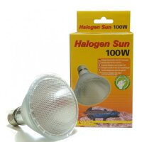Halogen Sun