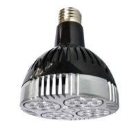 Power + Heat LED
