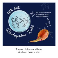 Kosmos Triops z&uuml;chten - Fun Science