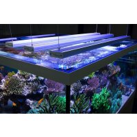 aquaBAR HighColor+ Reef Blue, 8 L&auml;ngen von 30cm - 215cm