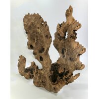 Barico-Wurzeln 15-60cm
