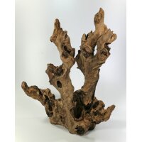Barico-Wurzeln 15-60cm