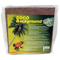 Coco Background