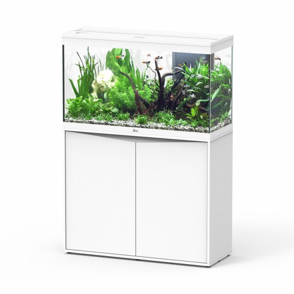 Splendid 200 Kombi 249 Liter, 100x40cm