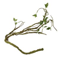 Terra Della Plant Branch Thin - Pflanzenzweig d&uuml;nn
