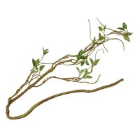 Terra Della Plant Branch Thin - Pflanzenzweig dünn