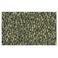 Tetra Pleco Tablets