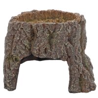 Trunk Cave, verschiedene Gr&ouml;&szlig;en