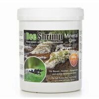 Bee Shrimp Mineral GH+