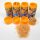 JBL Proterra Gammarus 750ml