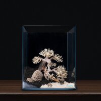 Dennerle Decor Box Bonsai