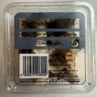 Zweifleckgrille Gro&szlig;, ca. 20 St&uuml;ck