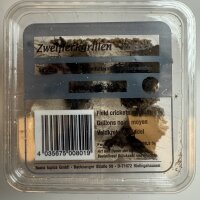 Zweifleckgrille Mittel, ca. 50 St&uuml;ck