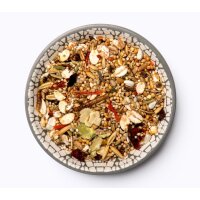 FarbmausTraum EXPERT 500g