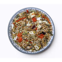 ZwerghamsterTraum EXPERT 500g