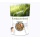 ZwerghamsterTraum EXPERT 500g