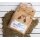 Buddelspass Sandmix 8l