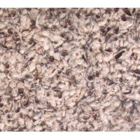 Bedding Cotton 40l