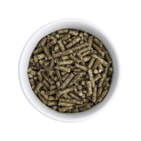 Health ProDental 800g