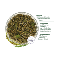 MeerschweinchenTraum BASIC 4kg