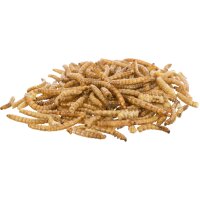 Mehlw&uuml;rmer getrocknet 70g
