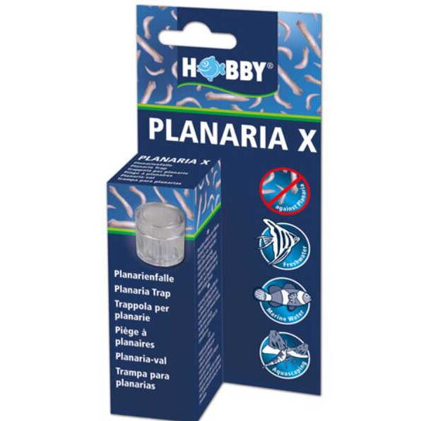 HOBBY Planaria X, Planarienfalle