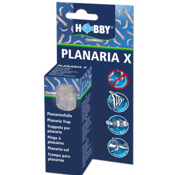 Planaria X, Planarienfalle