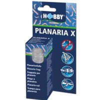 Planaria X, Planarienfalle
