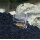 Planaria X, Planarienfalle