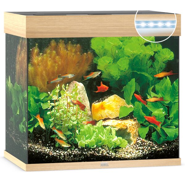 Lido 120 LED helles Holz Aquarium