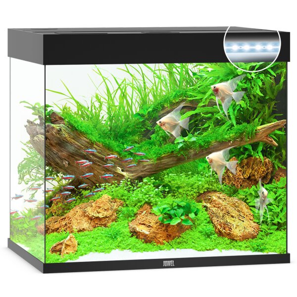 Lido 120 LED schwarz Aquarium