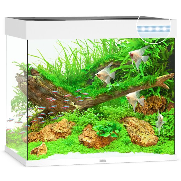 Lido 200 LED weiß Aquarium