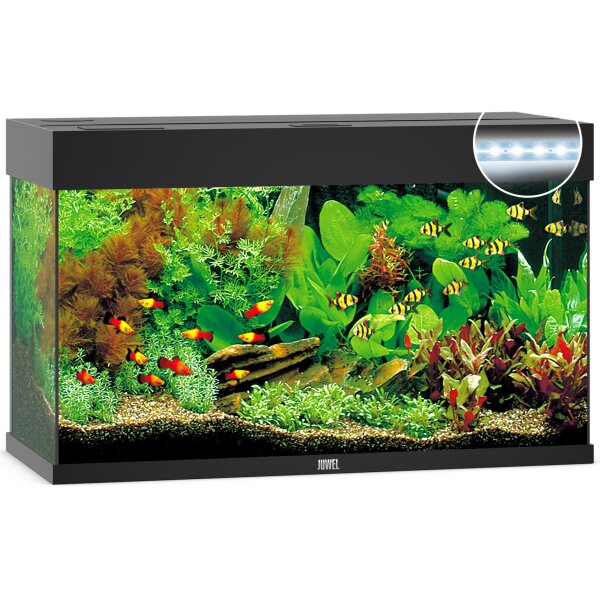 Rio 125 LED schwarz Aquarium