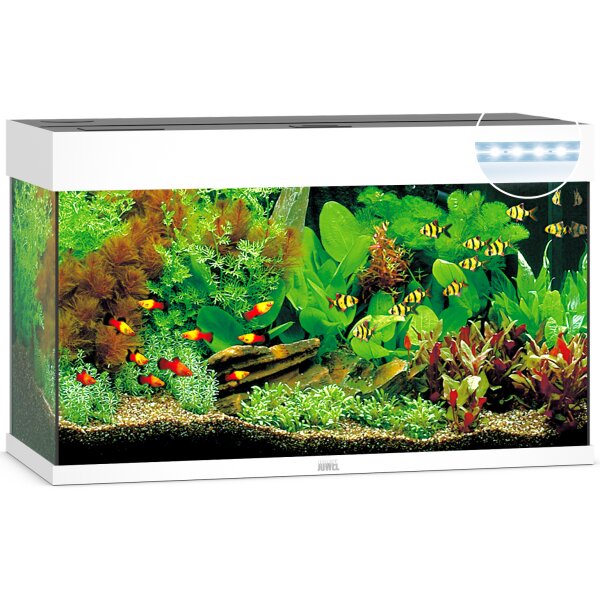 JUWEL Rio 125 LED weiß Aquarium