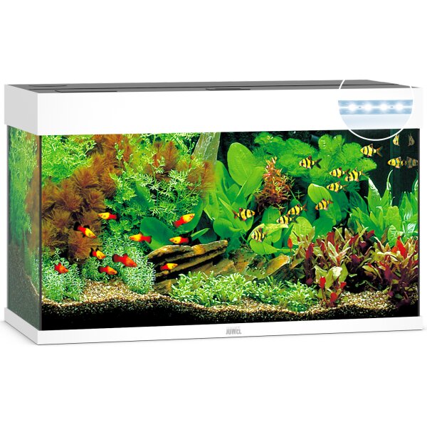 Rio 125 LED weiß Aquarium
