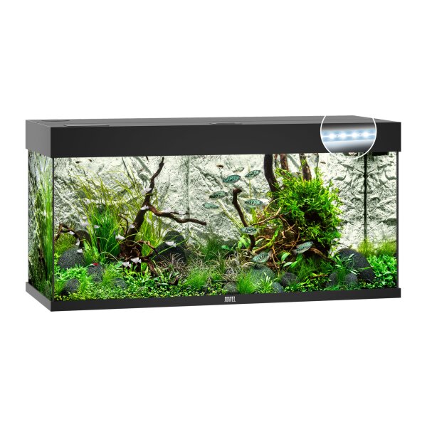 Rio 180 LED schwarz Aquarium