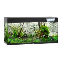 Rio 180 LED schwarz Aquarium