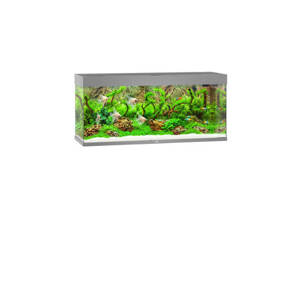 JUWEL Rio 240 LED grau Aquarium
