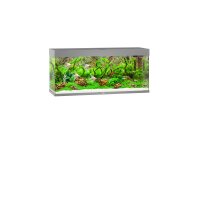 JUWEL Rio 240 LED grau Aquarium