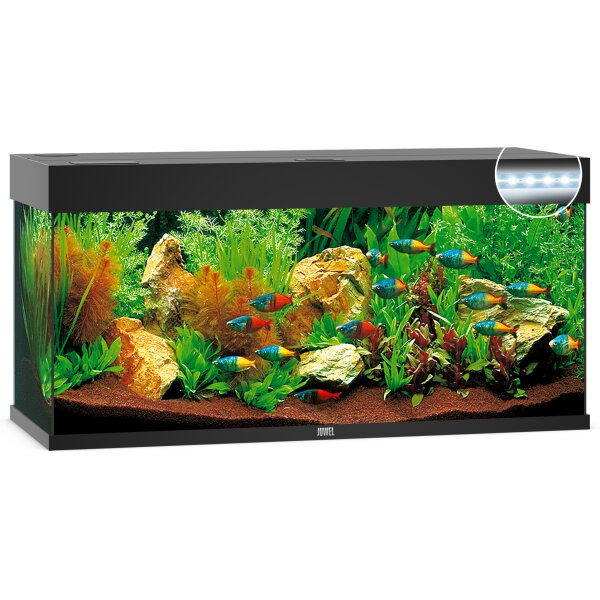 Rio 240 LED schwarz Aquarium