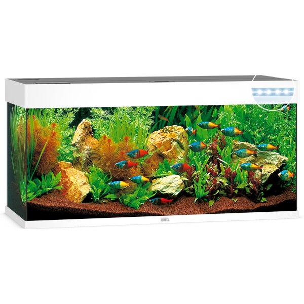 JUWEL Rio 240 LED weiß Aquarium