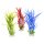Amazone Sword Mixfarben 30 cm